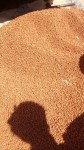 alsoug.com