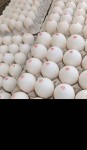 alsoug.com