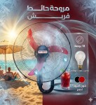 alsoug.com