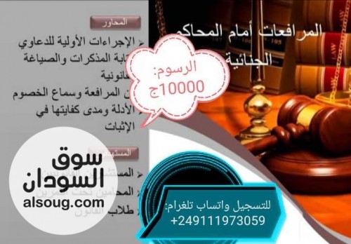 عبر الاون لاين دورة المرافعات أمام المحاكم الجنائية - صورة رقم 1