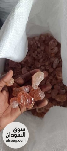  شركه فال لاند التجارية للبيع محاصيل سودانيه خام   - صورة رقم 4