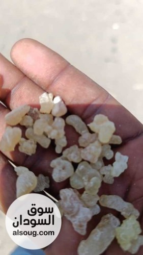 شركه فال لاند التجارية للبيع محاصيل سودانيه خام   - صورة رقم 2