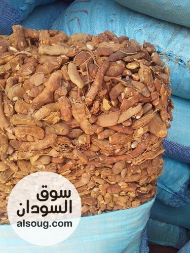  شركه فال لاند التجارية للبيع محاصيل سودانيه خام   - صورة رقم 6