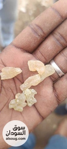  شركه فال لاند التجارية للبيع محاصيل سودانيه خام   - صورة رقم 1
