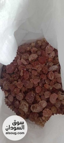  شركه فال لاند التجارية للبيع محاصيل سودانيه خام   - صورة رقم 14