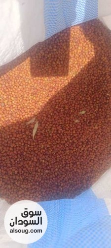  شركه فال لاند التجارية للبيع محاصيل سودانيه خام  - صورة رقم 11