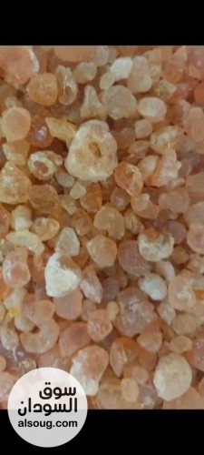  شركه فال لاند التجارية للبيع محاصيل سودانيه خام  - صورة رقم 1