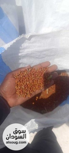  شركه فال لاند التجارية للبيع محاصيل سودانيه خام  - صورة رقم 13