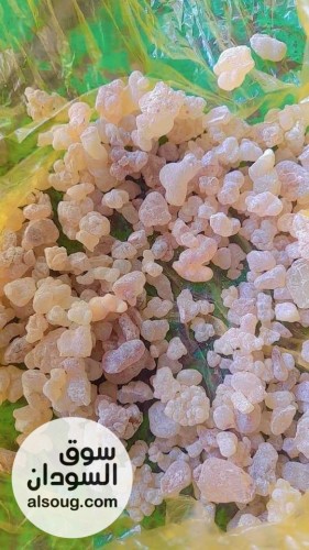  شركه فال لاند التجارية للبيع محاصيل سودانيه خام  - صورة رقم 2