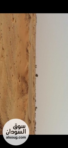 10 فدان واحد كيلو متر من الشارع - صورة رقم 1