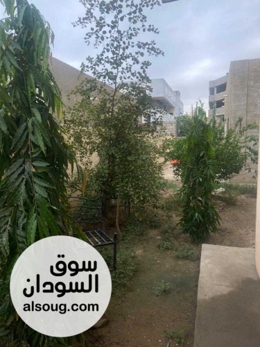 منزل مفروش بمدينة بورتسودان به مولد كهربائي للإيجار من أملاك العقارية - صورة رقم 1