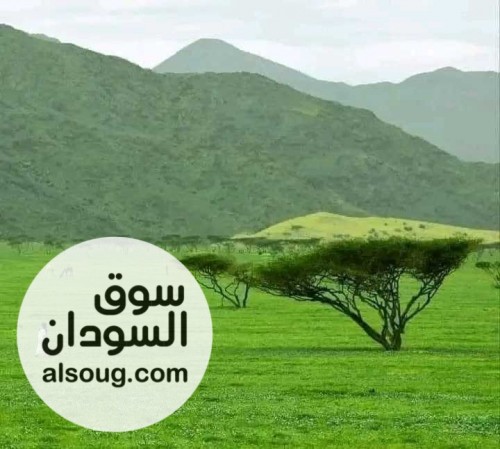 شقة بمولد في حي المطار - صورة رقم 1