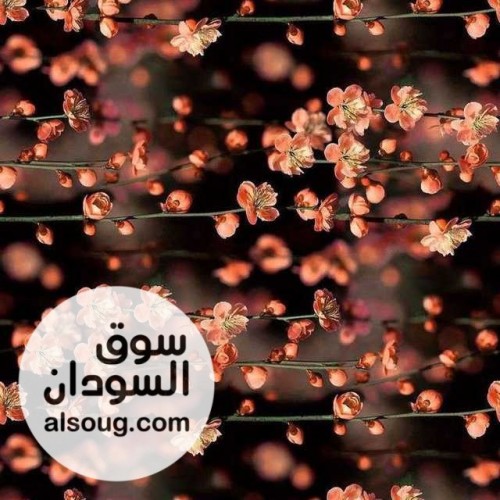 ملفات تعلم التجارة الإلكترونية - صورة رقم 1