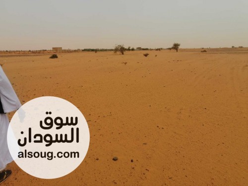 10 فدان 2 كيلو متر من الشارع - صورة رقم 1