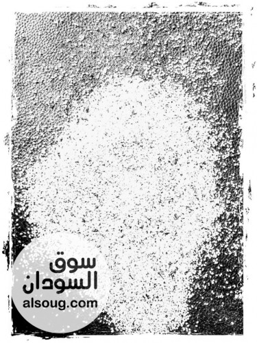 متوفر سمسم ابيض سوداني كميات كبيرة تصدير تسليم ميناء بورتسودان - صورة رقم 4