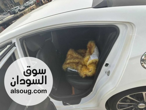 الحق النظافه بصمه جوه وبرا افانتي 2017 شركه شاذه - صورة رقم 4