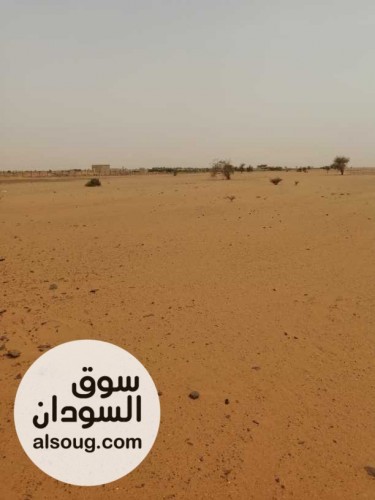 عشرة فدان 2 كيلو متر من الشارع غرب كافتريا العصر الحديث - صورة رقم 1