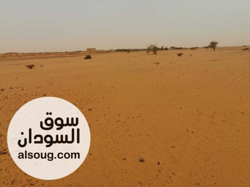 عشرة فدان 2 كيلو متر من الشارع غرب كافتريا العصر الحديث - صورة رقم 2