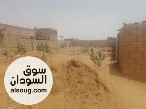 500 متر القطعه الرابعة من الشارع مويه وكهرباء - صورة رقم 1