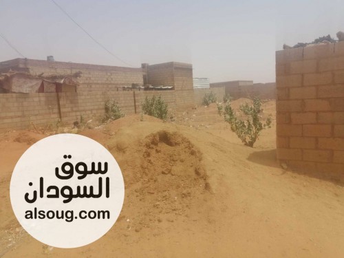 500 متر القطعه الرابعة من الشارع مويه وكهرباء - صورة رقم 3