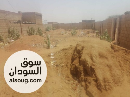 500 متر القطعه الرابعة من الشارع مويه وكهرباء - صورة رقم 2