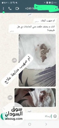 عشبه ام صهيب لتاخر الانحاب - صورة رقم 8