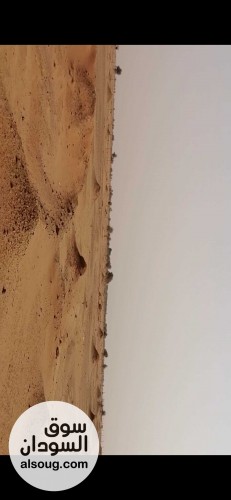 ارض زراعية خلويه 2 كيلو متر من الشارع غرب طلمبه البحار الدافيه - صورة رقم 2