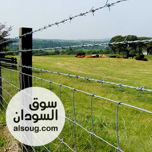 الشركة الهندسية للأسلاك الشائكة والأمواس  - صورة رقم 3