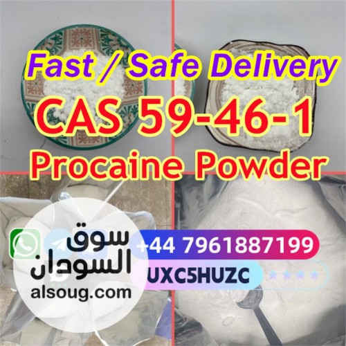 Raw Material 99% Procaine Powder Procaine Base CAS 59-46-1 Procaine - صورة رقم 2