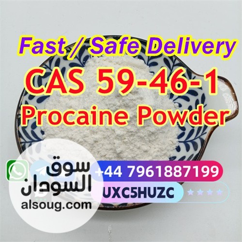 Raw Material 99% Procaine Powder Procaine Base CAS 59-46-1 Procaine - صورة رقم 4