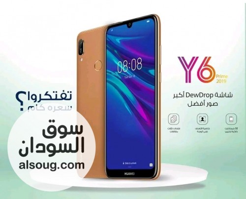 Huawei Y6 2019 - صورة رقم 1