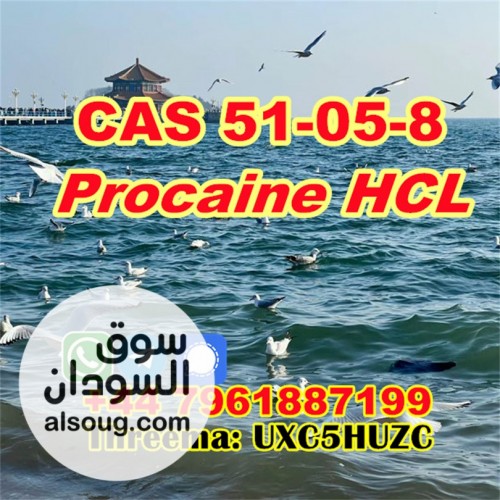 CAS 51-05-8 Procaine hydrochloride cas number 51-05-8 - صورة رقم 4