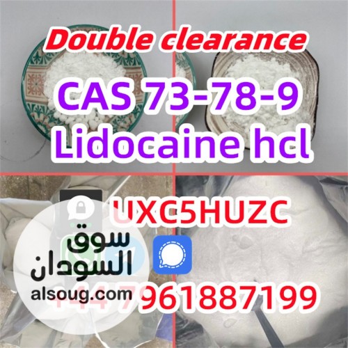 Lidocaine CAS 73-78-9 Lidocaine hydrochloride provide Sample Chinese s - صورة رقم 2