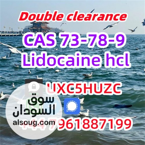 Lidocaine CAS 73-78-9 Lidocaine hydrochloride provide Sample Chinese s - صورة رقم 3