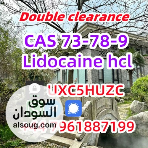 Lidocaine CAS 73-78-9 Lidocaine hydrochloride provide Sample Chinese s - صورة رقم 4