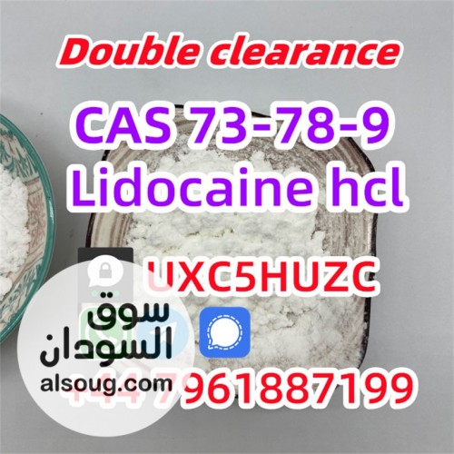 Lidocaine CAS 73-78-9 Lidocaine hydrochloride provide Sample Chinese s - صورة رقم 1
