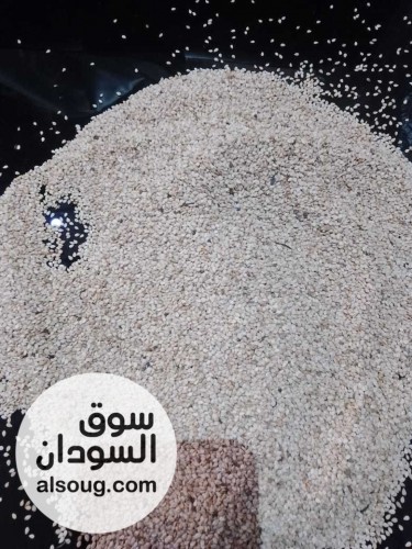   سمسم ابيض - صورة رقم 1