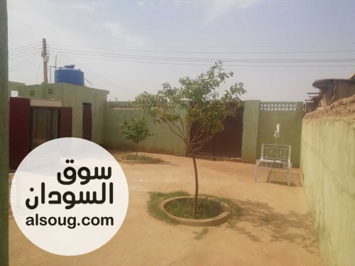منزل للبيع في مدخل كسلا حي الشهدا - صورة رقم 8