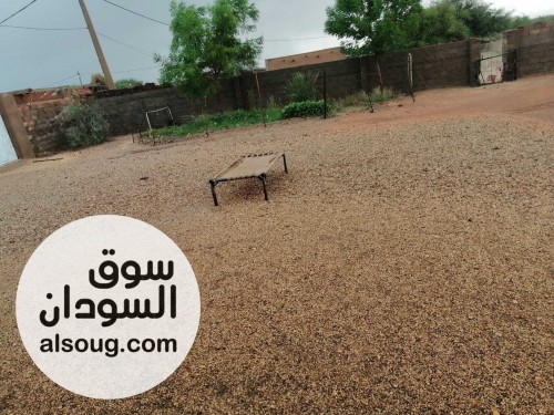 ارض زراعية استثمار على الشارع - صورة رقم 2