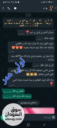 اتوفرت من جديد تحاميل مغربية اصليه بتعمل على زياده الآرداف والرجلين - صورة رقم 11