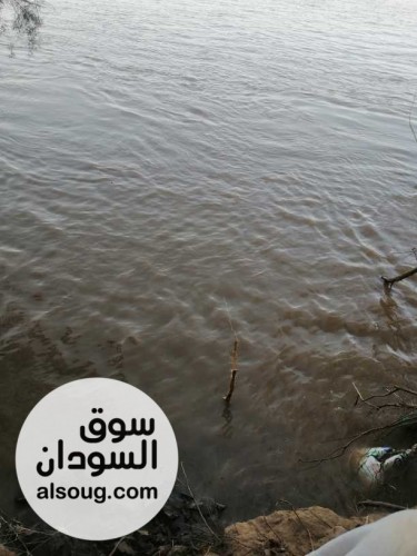 ارض زراعية خلويه 10 فدان غرب طلمبه البحار الدافيه - صورة رقم 1