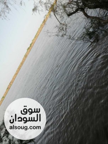 ارض زراعية استثمار على الشارع العام - صورة رقم 1