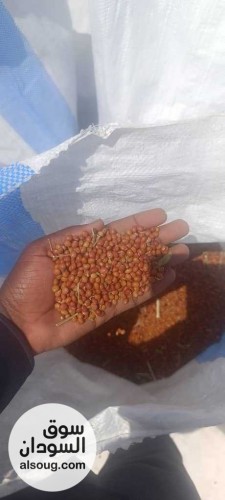  شركه فال لاند التجارية للبيع محاصيل سودانيه خام  - صورة رقم 8