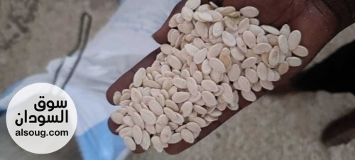  شركه فال لاند التجارية للبيع محاصيل سودانيه خام  - صورة رقم 2