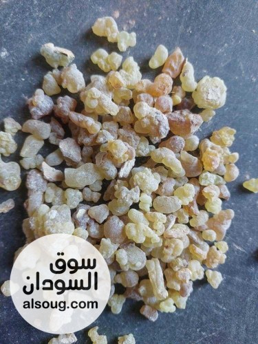  شركه فال لاند التجارية للبيع محاصيل سودانيه خام  - صورة رقم 13