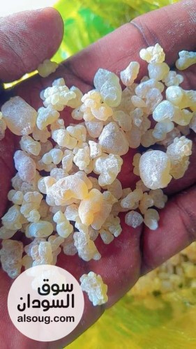  شركه فال لاند التجارية للبيع محاصيل سودانيه خام  - صورة رقم 1