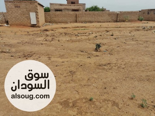 10 فدان 2 كيلو متر من الشارع غرب طلمبه البحار الدافيه - صورة رقم 1