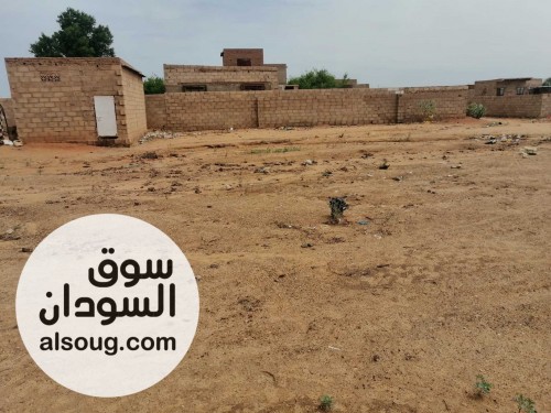 10 فدان 2 كيلو متر من الشارع غرب طلمبه البحار الدافيه - صورة رقم 2