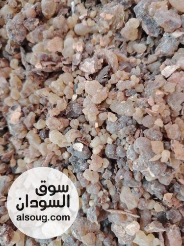 دينا بشير التسويق المحاصيل الزراعيه السودانيه - صورة رقم 3