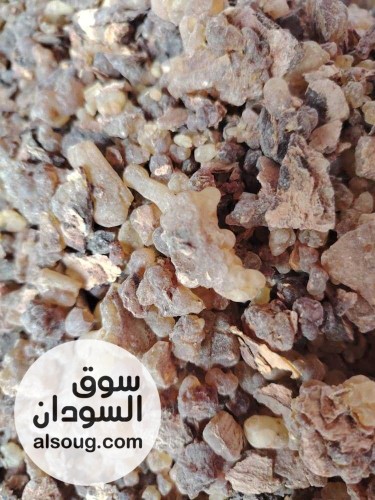 دينا بشير التسويق المحاصيل الزراعيه السودانيه - صورة رقم 2